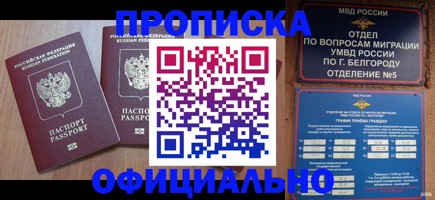 найти адрес прописки в Кропоткине